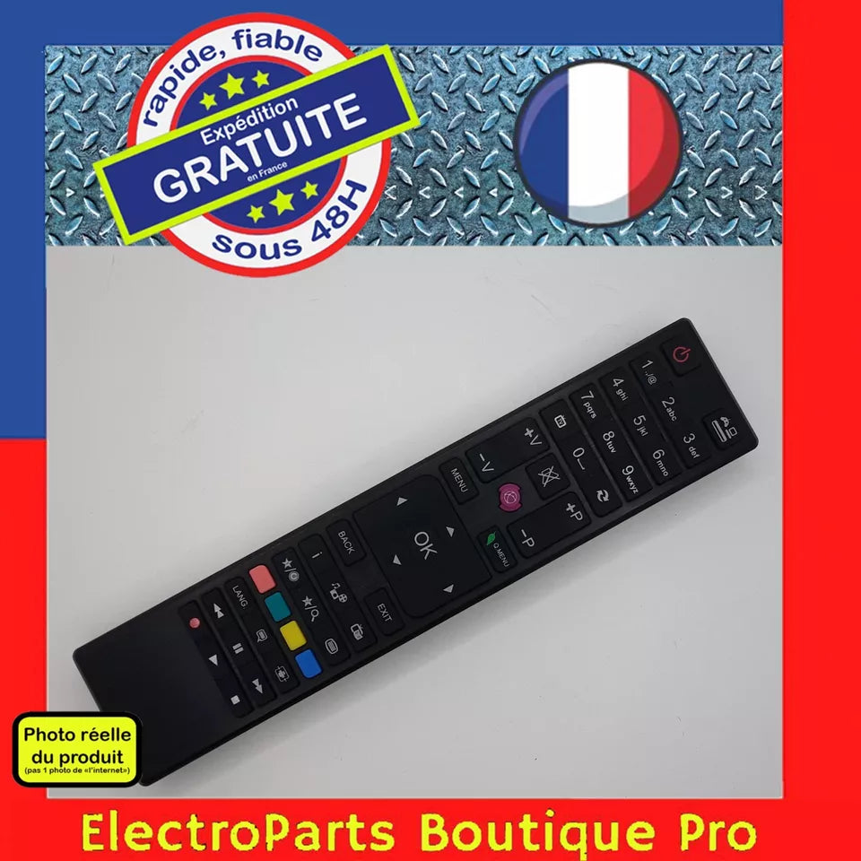 Télécommande  RC4876/30088184 pour télé FELSON F49FHJD16B-2